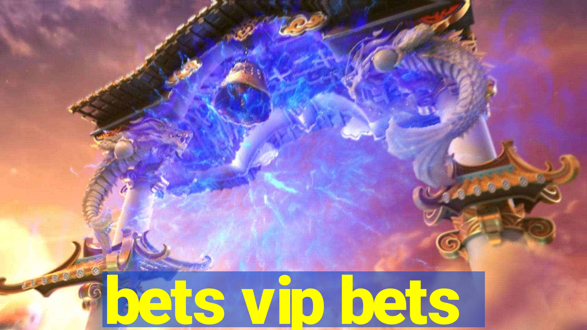 bets vip bets