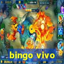 bingo vivo