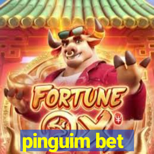 pinguim bet