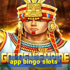 app bingo slots