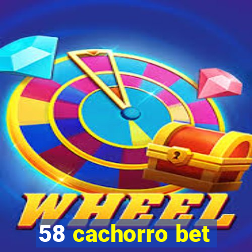 58 cachorro bet