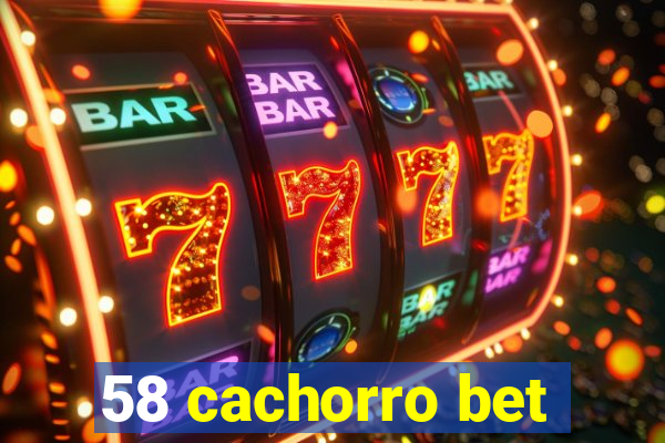 58 cachorro bet