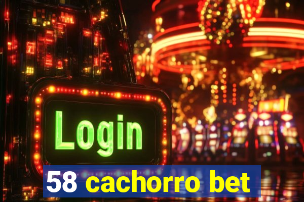 58 cachorro bet