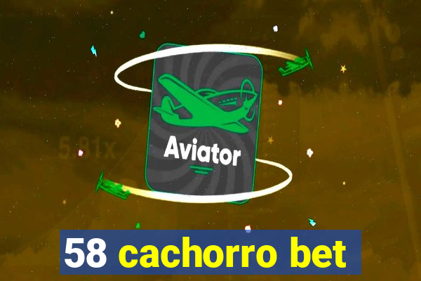 58 cachorro bet