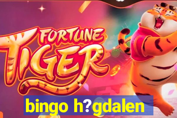 bingo h?gdalen