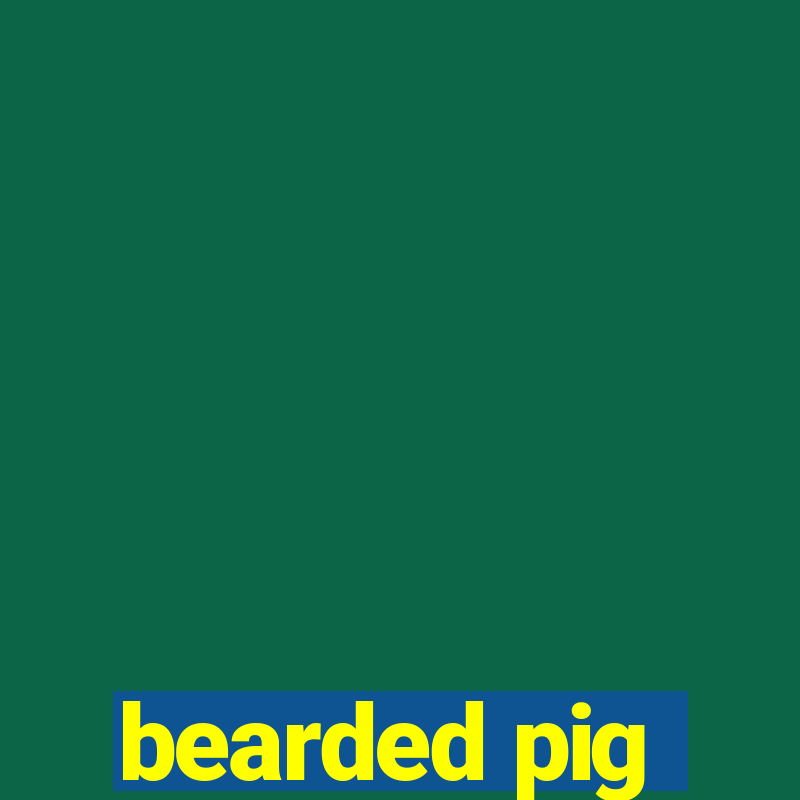 bearded pig