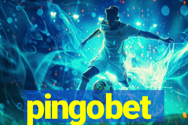 pingobet