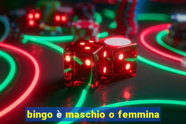 bingo è maschio o femmina