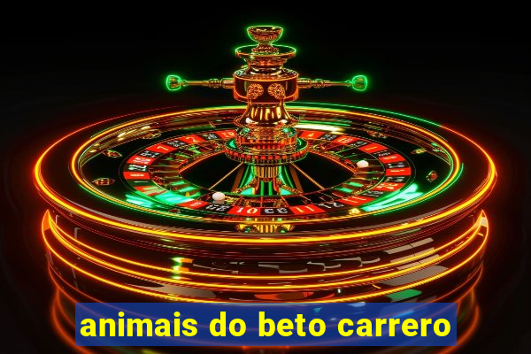 animais do beto carrero