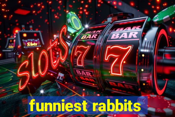 funniest rabbits