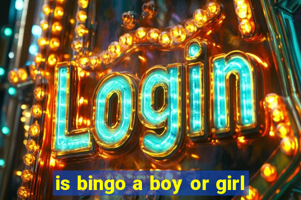 is bingo a boy or girl