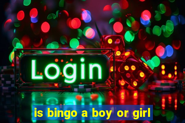 is bingo a boy or girl