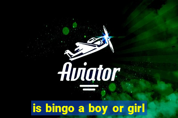 is bingo a boy or girl