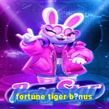 fortune tiger b?nus