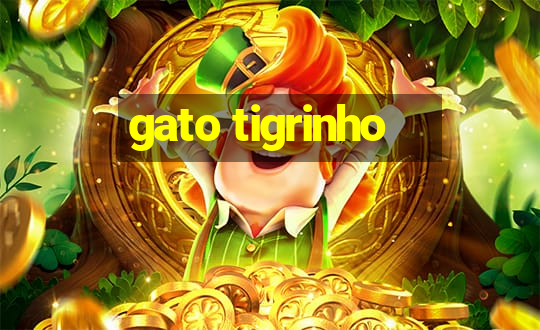 gato tigrinho