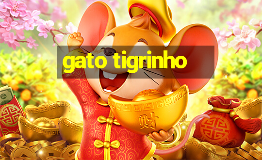 gato tigrinho