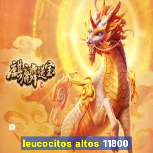 leucocitos altos 11800