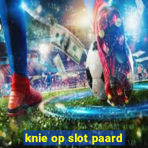 knie op slot paard