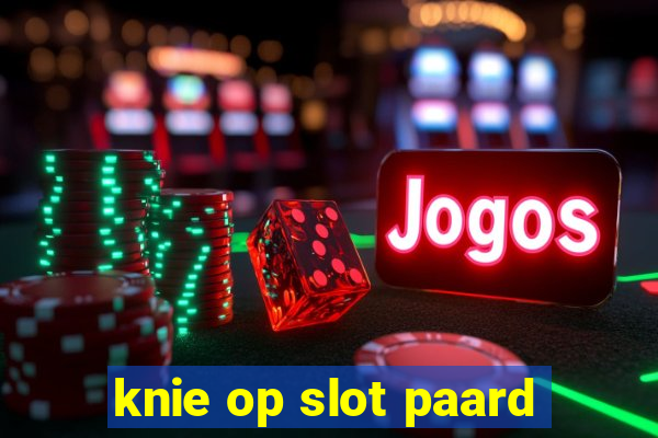 knie op slot paard