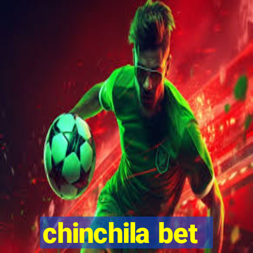 chinchila bet