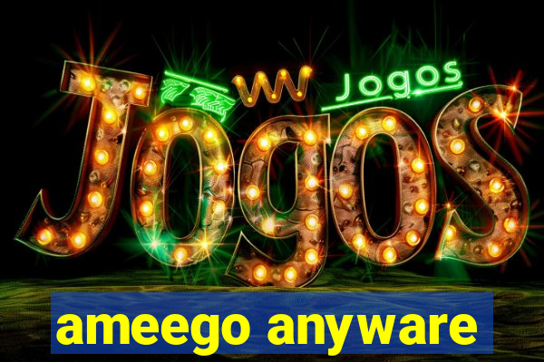 ameego anyware