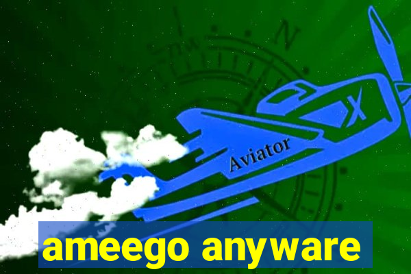 ameego anyware