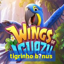 tigrinho b?nus