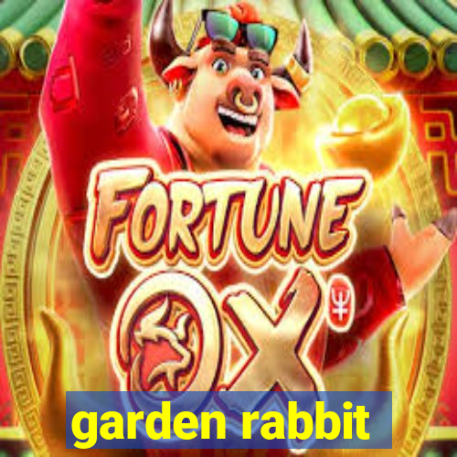 garden rabbit