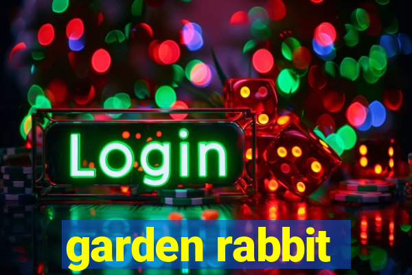 garden rabbit