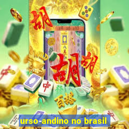 urso-andino no brasil