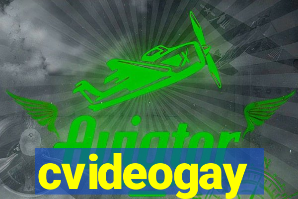 cvideogay