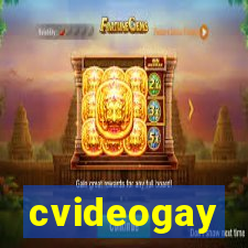 cvideogay