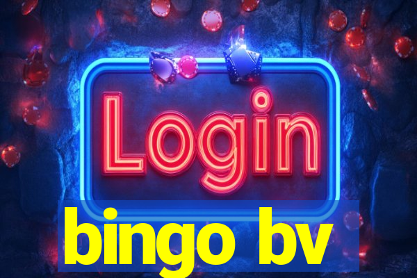 bingo bv