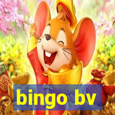 bingo bv