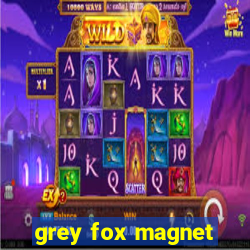 grey fox magnet