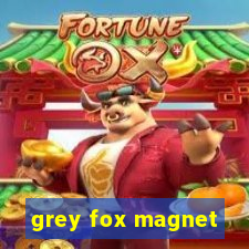 grey fox magnet