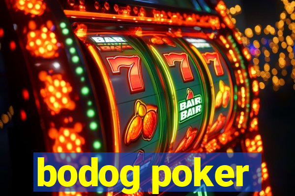 bodog poker