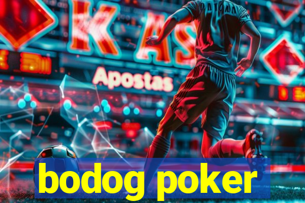 bodog poker