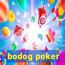 bodog poker