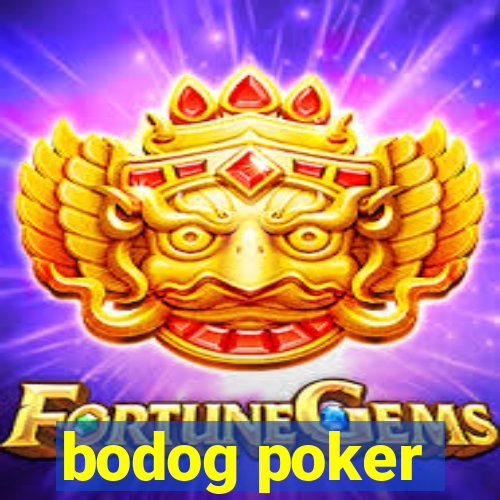 bodog poker