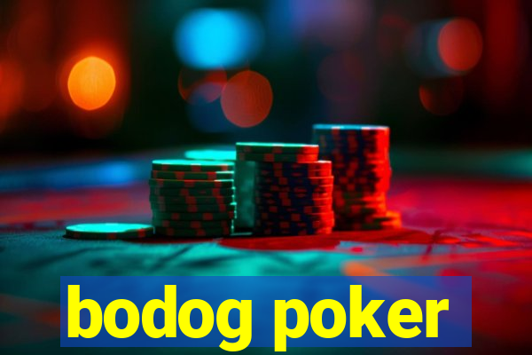 bodog poker