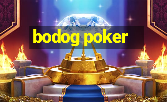 bodog poker