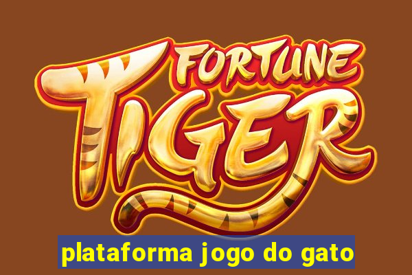 plataforma jogo do gato