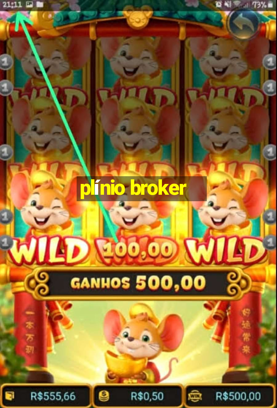 plínio broker