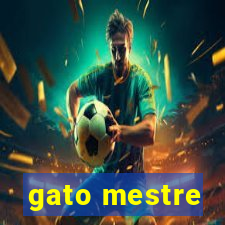 gato mestre