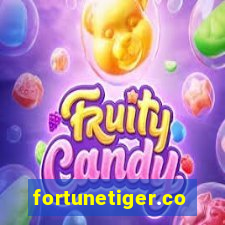 fortunetiger.com