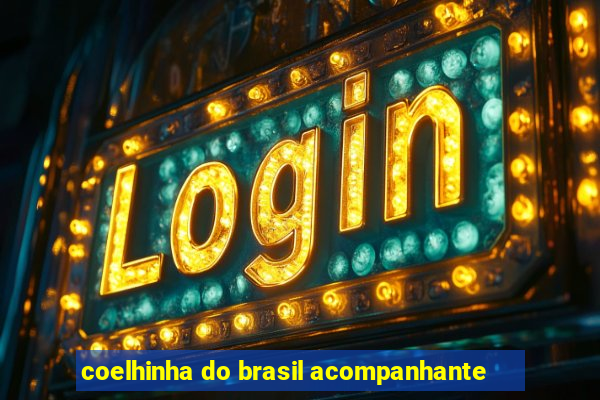 coelhinha do brasil acompanhante