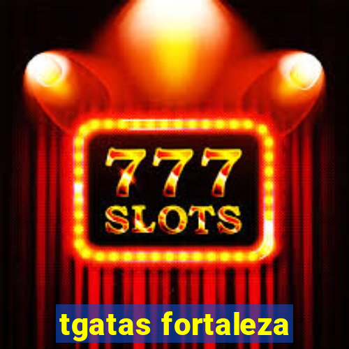 tgatas fortaleza