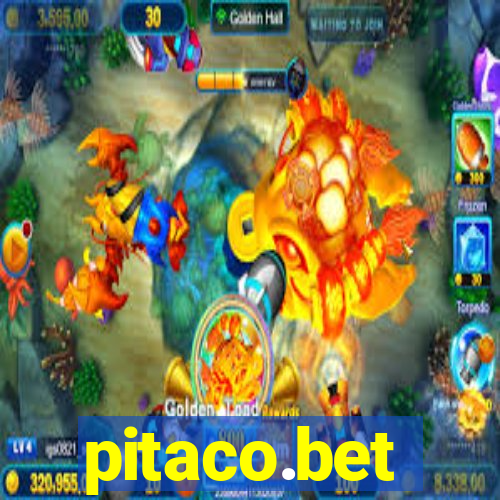 pitaco.bet