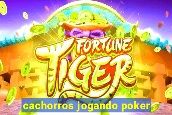 cachorros jogando poker